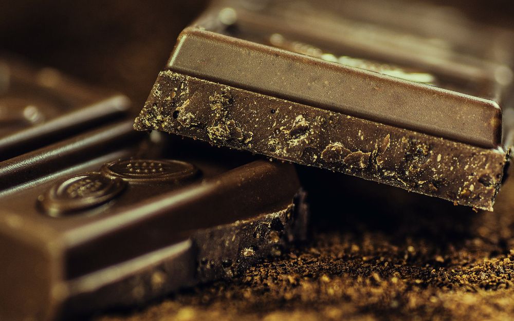 Living on the (Bitter)sweet Side of Life — Everything about Ecuadorian Chocolate